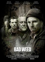 Последний урожай (2016)