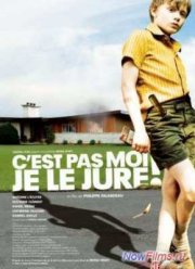 Клянусь, это не я! / Это не я, клянусь! (2008)