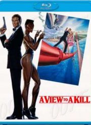 Вид на убийство (1985)