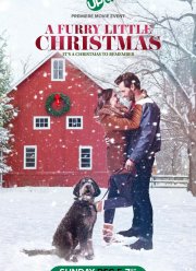 Маленькое пушистое Рождество (2021)