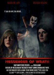 Разгневанный мститель (2017)