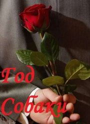 Год собаки (2018)