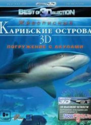 Карибские острова 3D: Погружение с акулами (2012)