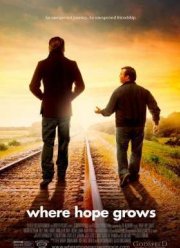 Где живет мечта (2014)