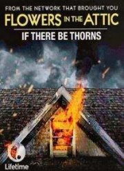 Сквозь тернии (2015)