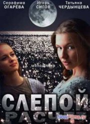 Слепой расчет (2014)