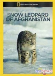 Смотреть Снежный барс Афганистана (2012)