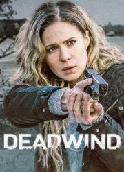 Встречный ветер (2018)