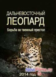 Дальневосточный леопард / Борьба за таежный престол (2014)