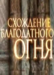 Схождение Благодатного огня (2016)