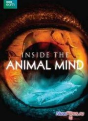 BBC. Животный интеллект (2014)