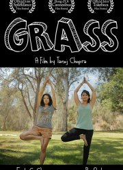 ������ (2017)