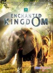 Зачарованное Королевство (2013)