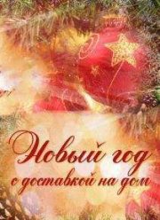 Новый год с доставкой на дом (2016)