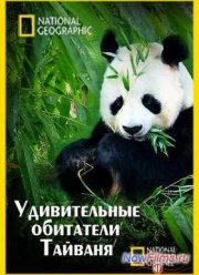Смотреть Удивительные обитатели Тайваня (2011)