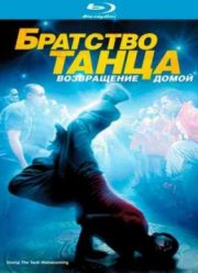 Братство танца: Возвращение домой (2010)