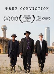 Справедливый приговор (2017)