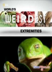Самые странные в мире: Необычные части тела (2013)