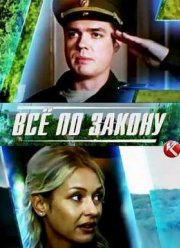 Страж закона / Все по закону (2016)