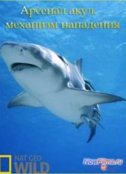 Арсенал акул. механизм нападения (2014)