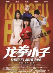 Кунг-фу парни (2016)