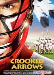 Кривые стрелы (2012)