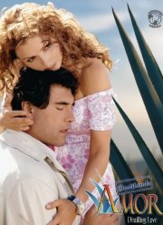 Чистая любовь (2007)