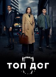 Топ дог (1-2 Сезон)
