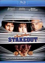 Слежка 2: Снова в засаде (1992)
