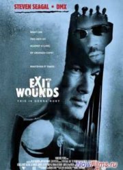 Сквозные ранения (2001)