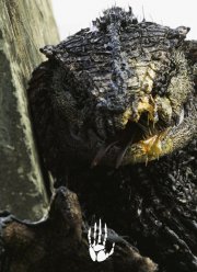 ����: ����� 1 - ����� (2017)