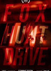 В опасности (2020)