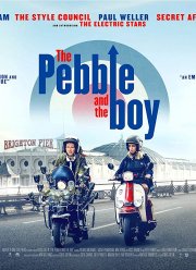 Камешек и мальчик (2021)