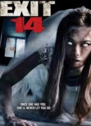 Четырнадцатый выезд (2016)