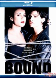 Связь (1996)