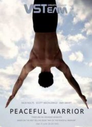 Мирный воин (2006)