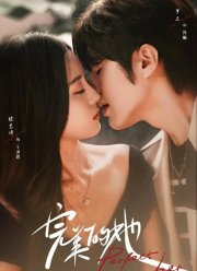 Идеально для нее (2024)