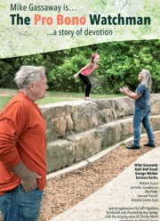 Добровольный наблюдатель (2022)