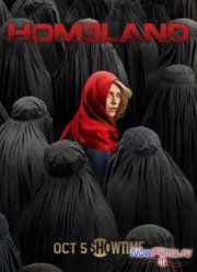 Родина / Чужой среди своих (1-8 Сезон)