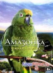 Удивительная амазонка: Южная Америка (2012)