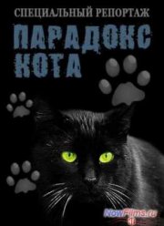 Смотреть Парадокс кота. Специальный репортаж (2013)