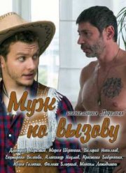 Муж по вызову (2015)
