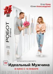 (НЕ)идеальный мужчина (2020)