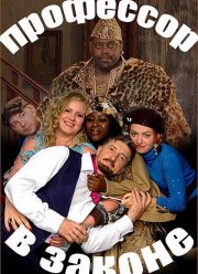 Профессор в законе (2006)