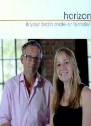 BBC. Какого пола твой мозг? (2014)