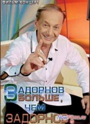Задорнов больше, чем Задорнов (2013)
