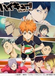 Волейбол!! (2 сезон) (2015)