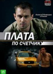 Плата по счетчику (2015)
