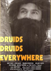 Друиды. Друиды повсюду (2020)
