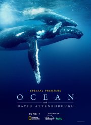Дэвид Аттенборо: Океан (2025)